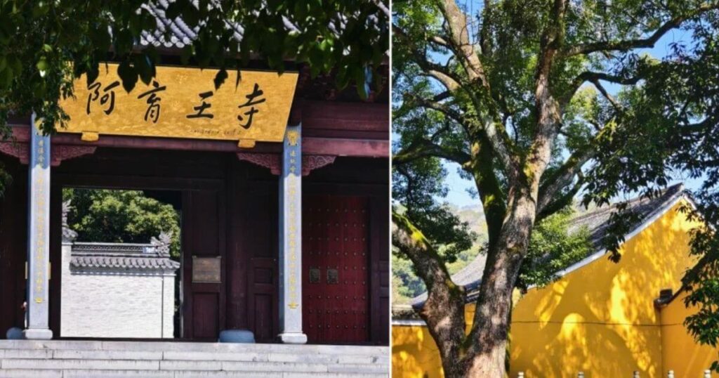 阿育王寺正門