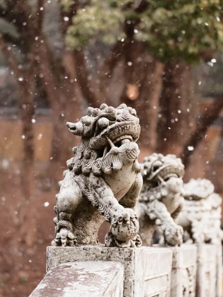 普陀山石獅瑞雪守護