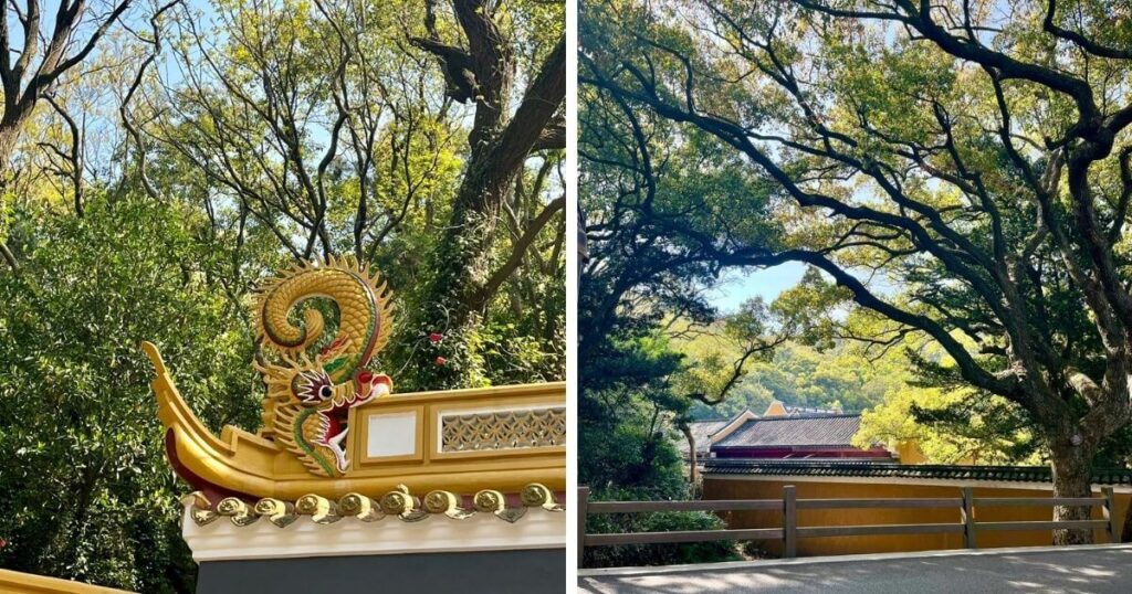 普陀山春季景色與寺院屋脊